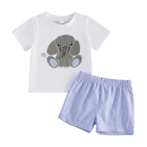 Toddler Boys 2-Piece Outfit Short Sleeve T-shirt with Denim Shorts Set